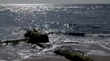 Deniz kıyısındaki taşlar, kumlu bir sahilde dalgalar yuvarlanıyor, Karadeniz, Ukrayna