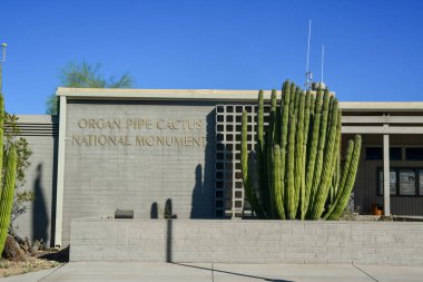 ARIZONA, ABD - 24 Kasım 2019: Kaktüs yakınlarındaki Organ Boru Kaktüsü Ulusal Anıtı, Arizona ABD 