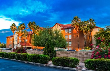 ABD, ARIZONA - 24 Kasım 2019: ABD 'nin Arizona eyaletinde günbatımında otelin yakınındaki palmiye ağaçları