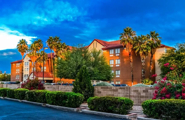 Usa Arizona November 2019 Palm Trees Hotel Rays Sunset State — Stock Photo, Image