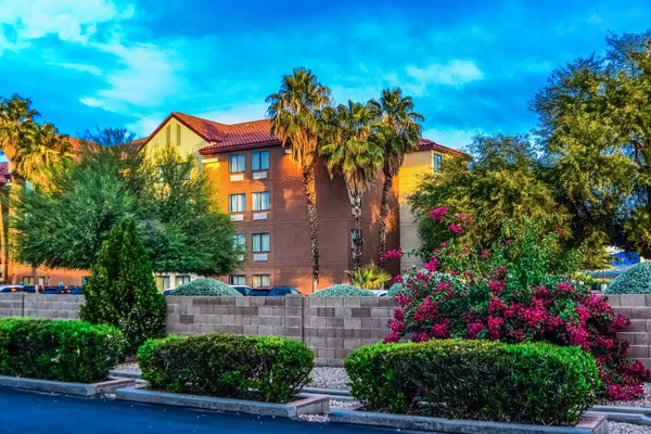 Usa Arizona November 2019 Palm Trees Hotel Rays Sunset State — 图库照片