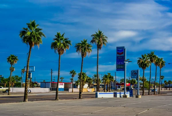 Abd Arizona Kasım 2019 Arizona Yolu Boyunca Güzel Büyük Palmiye — Stok fotoğraf