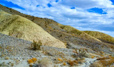 Kaliforniya çölündeki tepeler, çeşitli renklerdeki kil oluşumlarından. Çöldeki bitki örtüsü