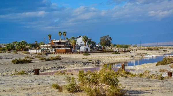 California Abd Kasım 2019 Kaliforniya Tuz Gölünün Kıyısında Palmiye Ağaçları — Stok fotoğraf