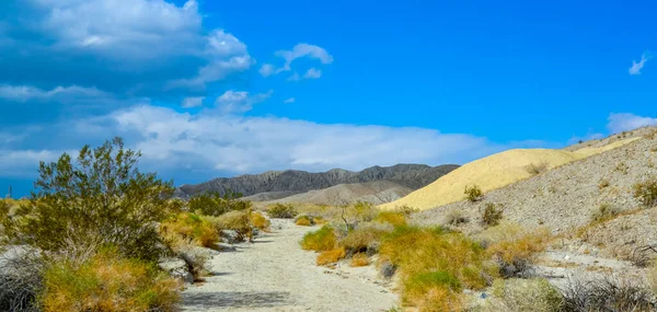 Hills in the California desert from various colored clay formations. Desert vegetation around