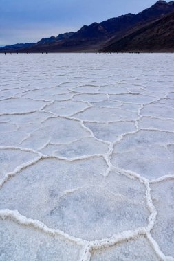 Death Valley Ulusal Parkı, Tuzlu Kil, Kaliforniya. Çatlamış ve şişmiş tuzlu düz tuz vadisi, ölü tuz manzarası
