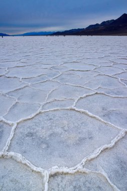 Death Valley Ulusal Parkı, Tuzlu Kil, Kaliforniya. Çatlamış ve şişmiş tuzlu düz tuz vadisi, ölü tuz manzarası
