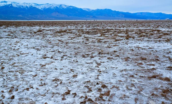 Death Valley National Park, Salt with clay, California. Smooth salt valley with cracked and swollen salt, dead salt landscape