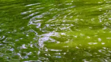 Göldeki yeşil suyun yansımaları ve parlaklığı