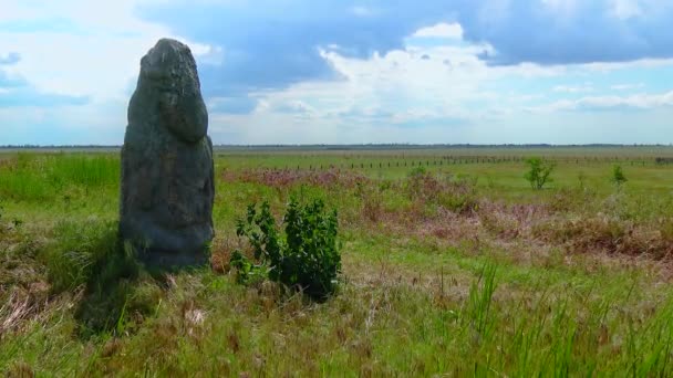 Stone Statue Background Sky Ukrainian Steppe — ストック動画