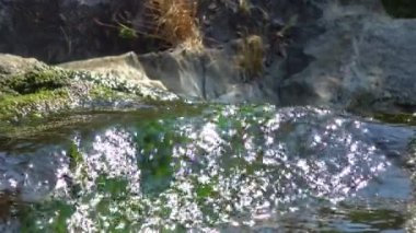Fast flowing water in a stream overgrown with green algae that produce oxygen