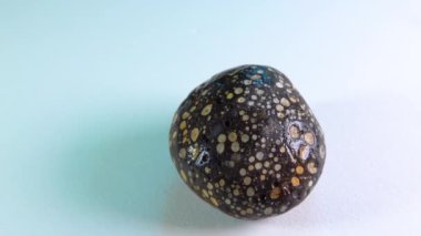 Sea-rolled volcanic rocks with various white mineral inclusions, geological object