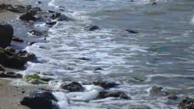 Waves of muddy water roll on the seashore, forming foam
