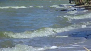 Waves of muddy water roll on the seashore, forming foam