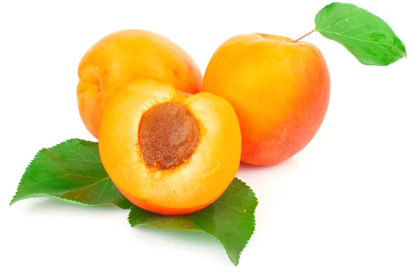 Apricots on white — Stock Photo, Image