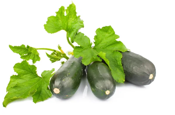 Marrows & leaves — Stock Photo, Image