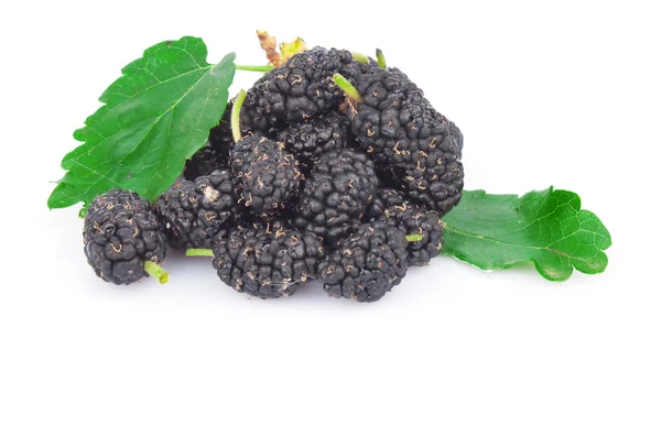 Black mulberry — Stock Photo, Image