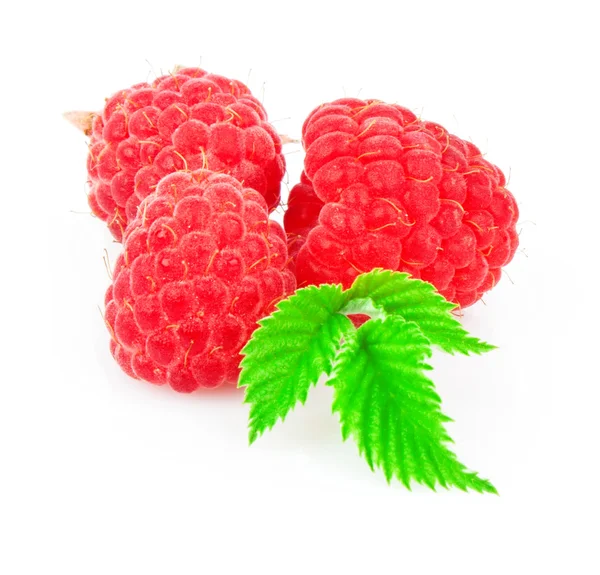 Raspberries — Stock Photo, Image