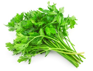 Green parsley clipart
