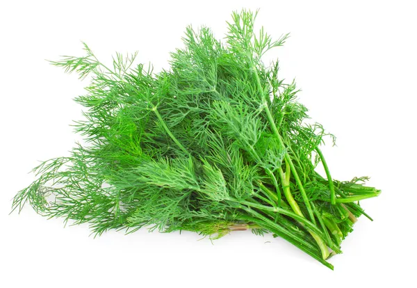 Dill. — Fotografia de Stock