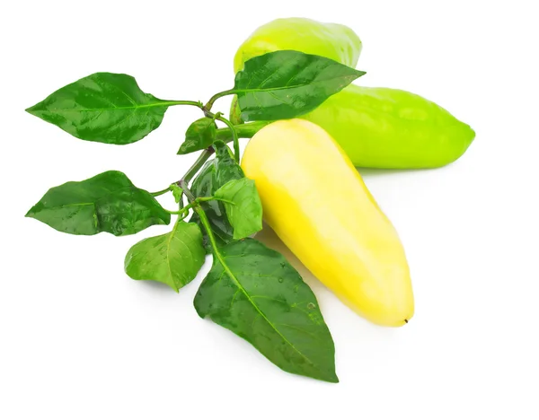 Fresh bell pepper — Stock Photo, Image