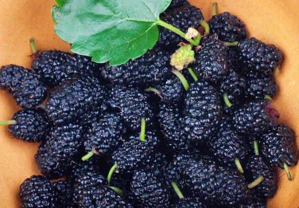 Black mulberry — Stock Photo, Image