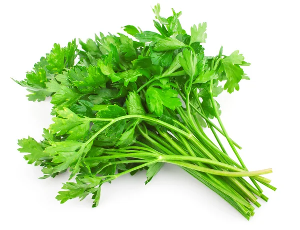 Green parsley Stock Photo