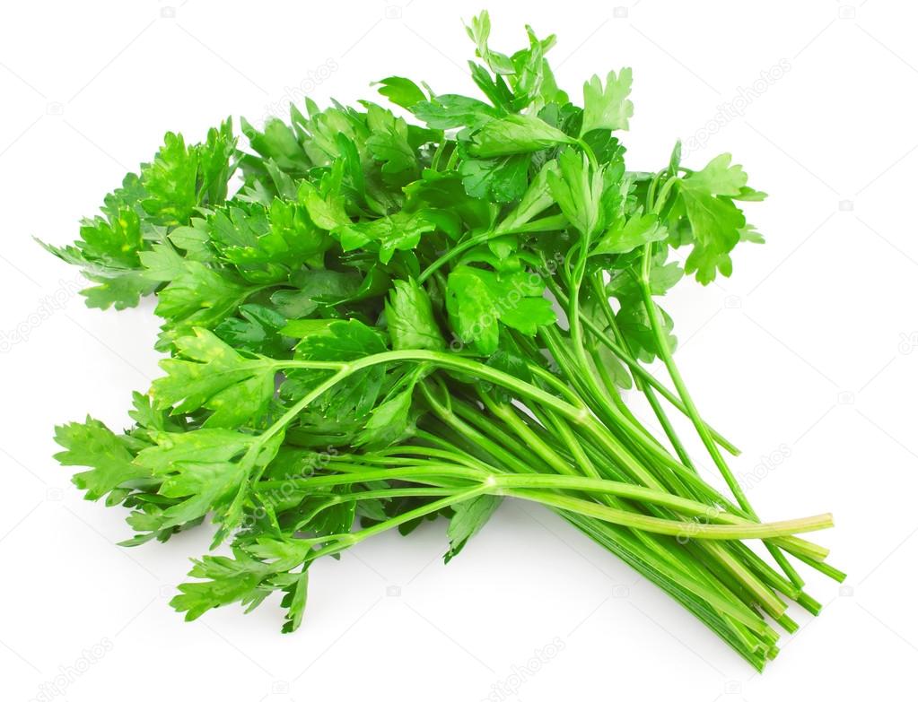 Green parsley