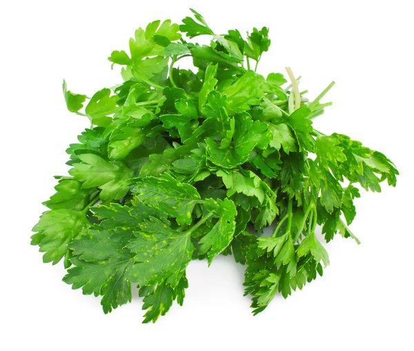 Fresh green parsley — Stock Photo, Image