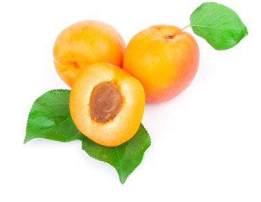 beyaz üzerine kayısı