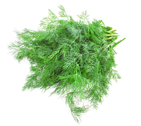 Dill. — Fotografia de Stock