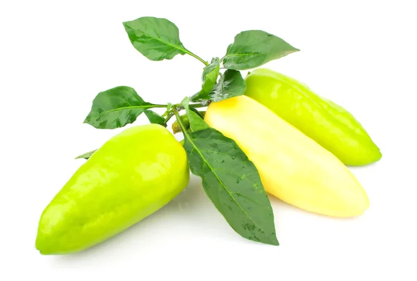 Pepper — Stock Photo, Image