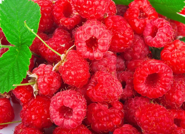 Raspberry background — Stock Photo, Image