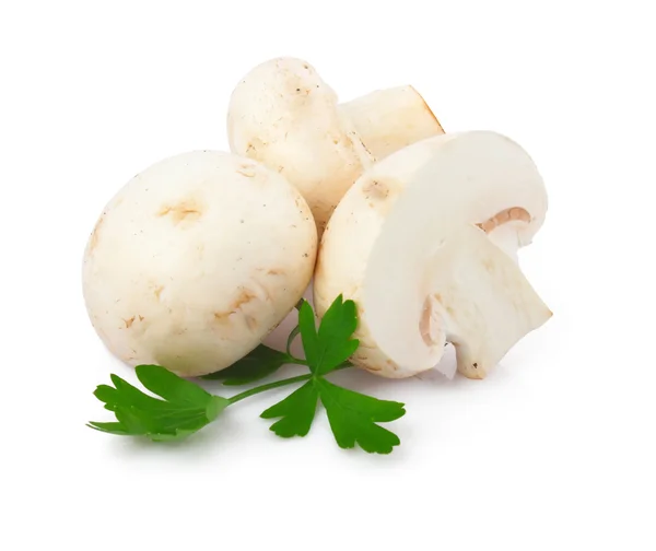 champignon mantarı