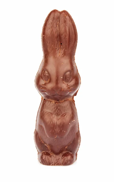 チョコレートのウサギ — ストック写真