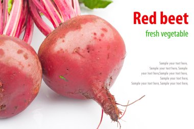 Kırmızı taze beetroots ve metin