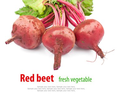 Kırmızı taze beetroots ve metin