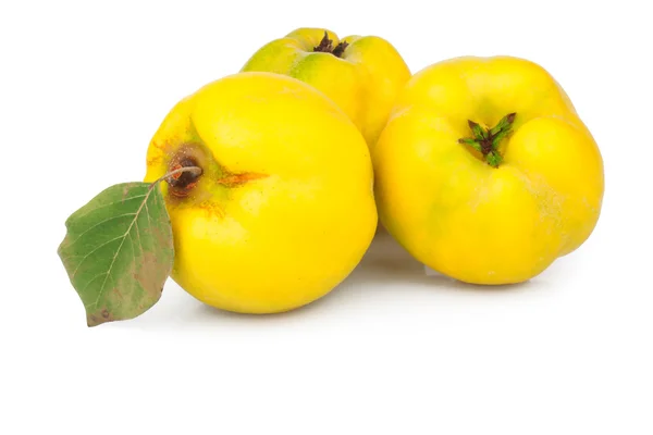 Quince Apple dengan daun — Stok Foto