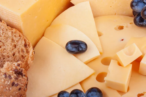 Cheeses background — Stock Photo, Image