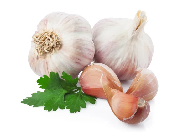 Garlic — Stock Photo, Image