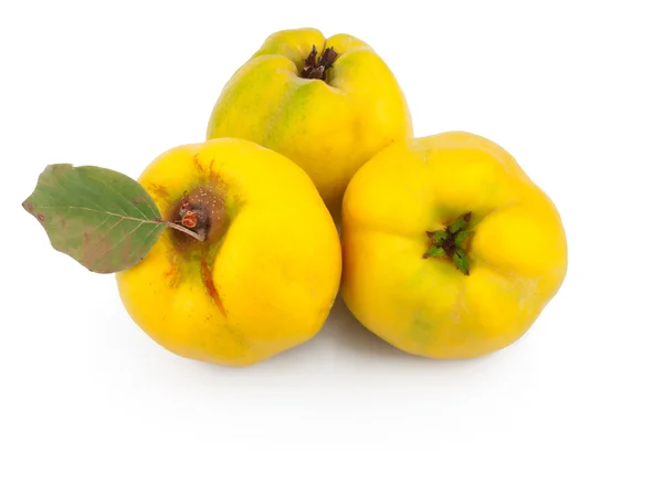 Marmelo de maçã com folha — Fotografia de Stock
