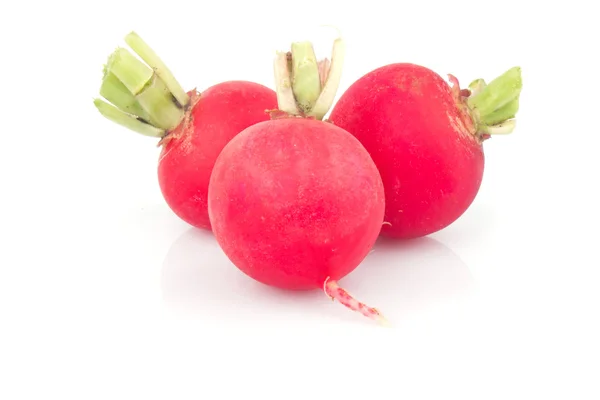 Red radish — Stock Photo, Image