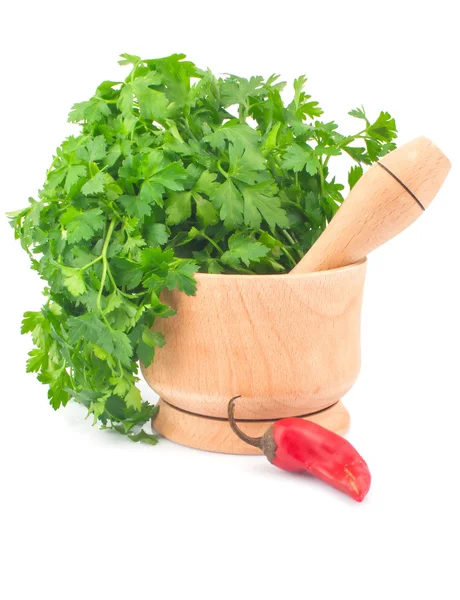 Parsley in mortar and chili pepper — Stock Photo, Image