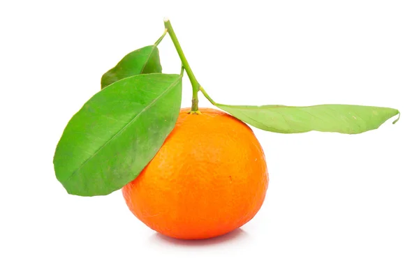 Mandarin with leaves — Stock Photo, Image