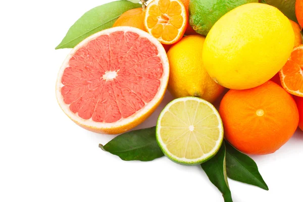 Citrus fruits — Stock Photo, Image