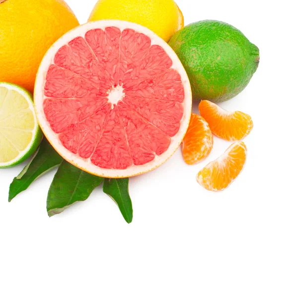 Citrus fruits — Stock Photo, Image