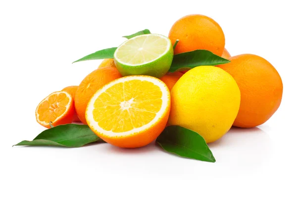 Uppsättning citrusfrukter — Stockfoto