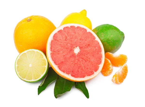Set van citrusvruchten — Stockfoto