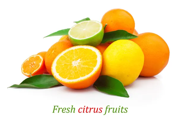 Citrus fruits Stock Image
