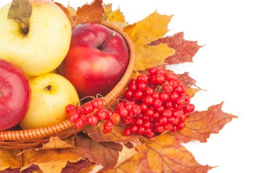 Sonbahar sakin bir hayat